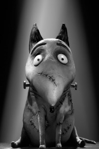 Sparky from Frankenweenie!