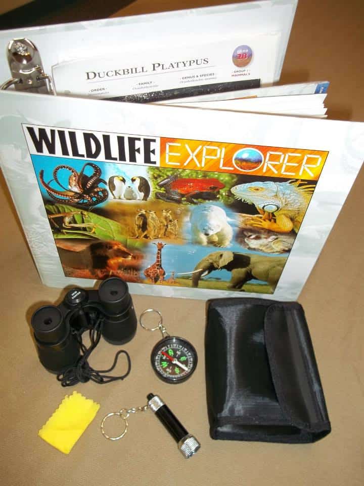 wildlife explorer 1