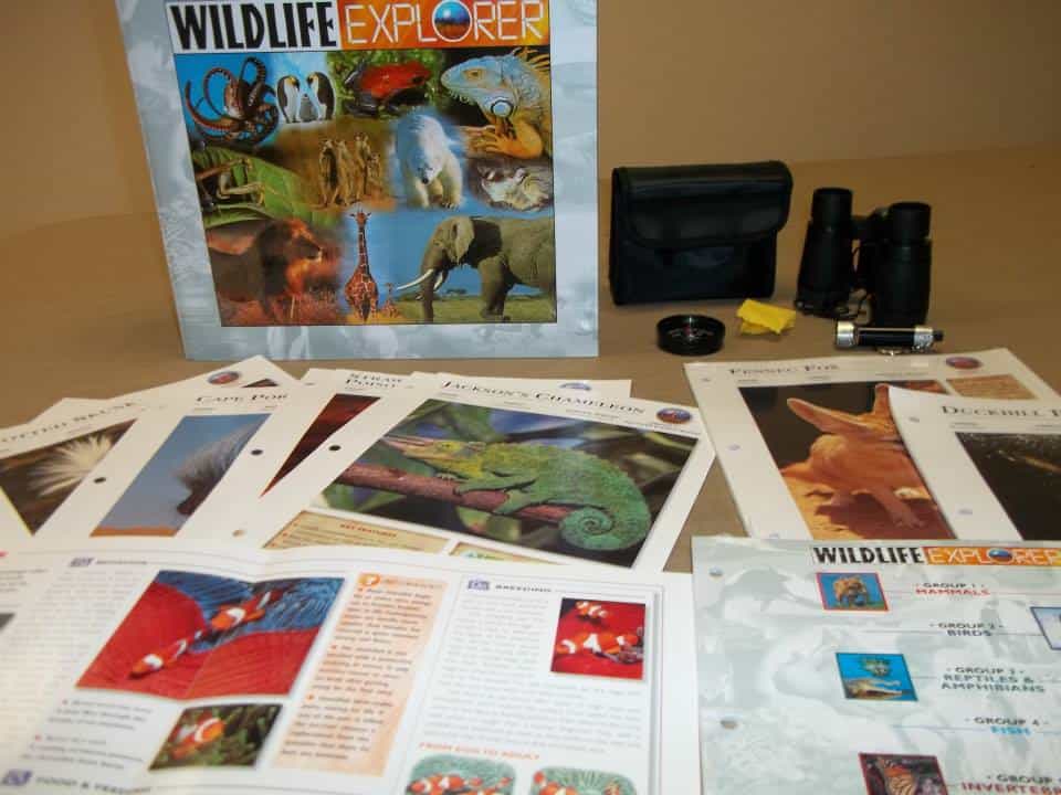 wildlife explorer 2