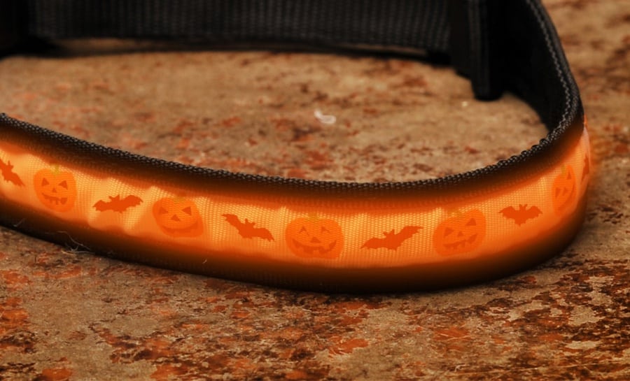 halloween leash