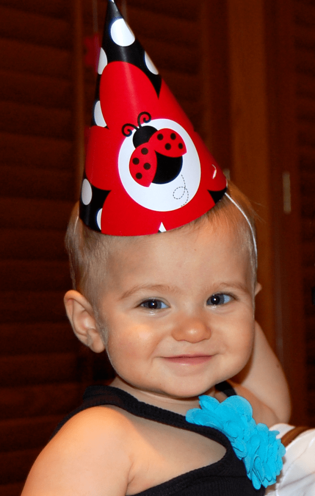 Ladybug-Party-Hat