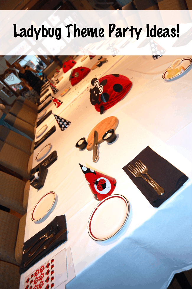 Ladybug Theme Party