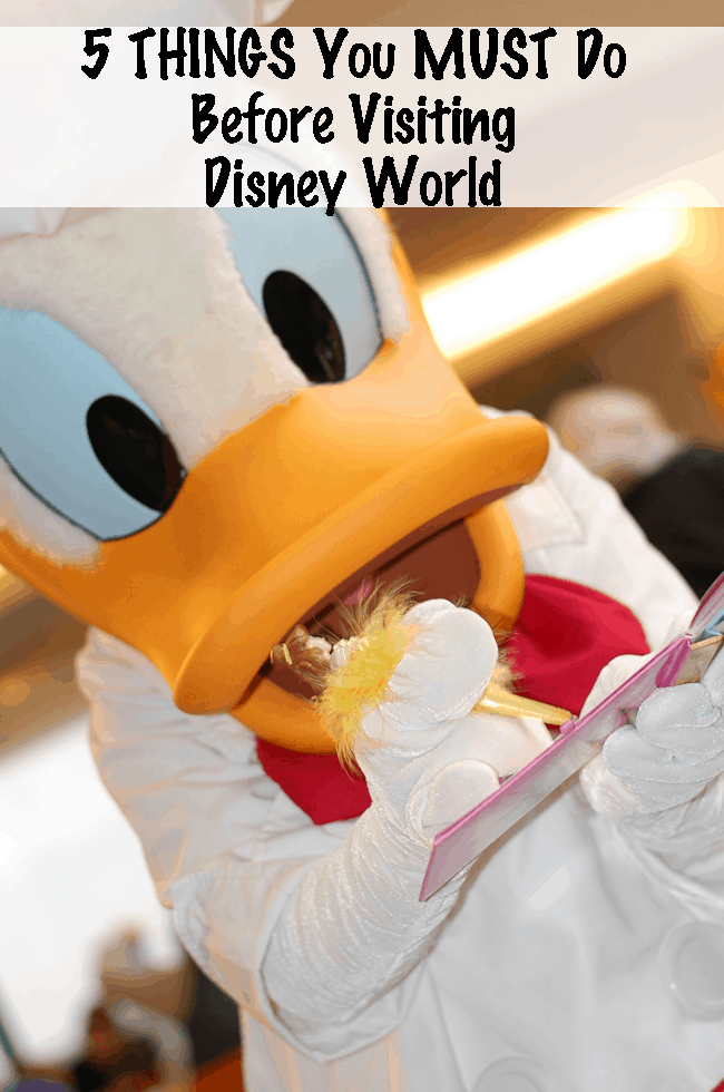 Things to do Before Going to Disney