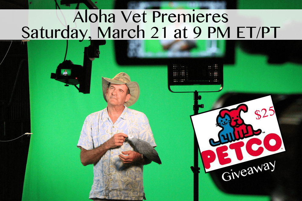 Aloha Vet Premieres DrScottSims_Generic_05_AlohaVet