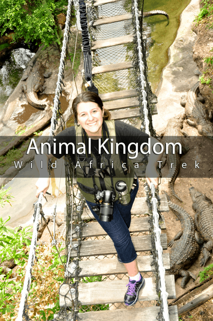 Animal Kingdom Wild Africa Trek