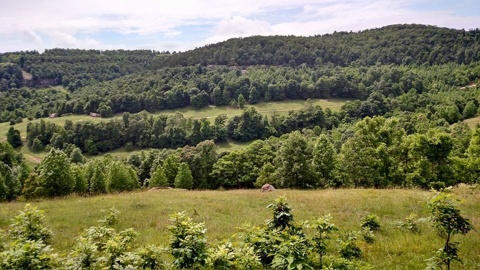 Horseshoe Canyon Ranch - Things You Never Knew About a Dude Ranch