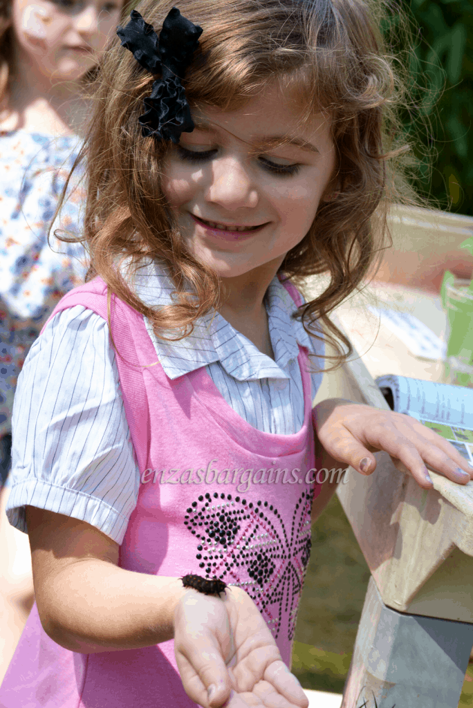 Petting Zoo - Powell Gardens Butterfly Festival - Kansas City