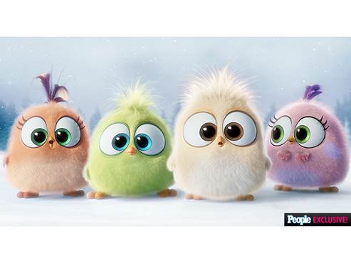 The Angry Birds Hatchings from the Movie - Season's Greetings!