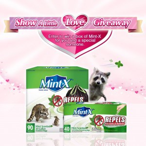 Giveaway:100 Boxes of Mint-X (Ends 2/29)