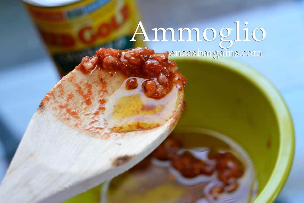 Ammoglio Garlic Sauce Recipe created with Red Gold Tomatoes