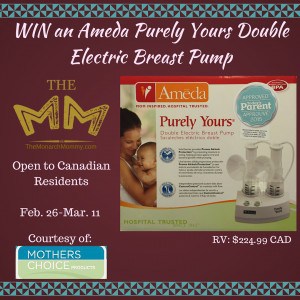 Ameda Purely Yours Breast Pump