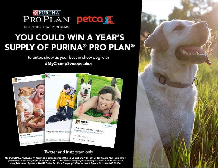 Keeping a Small Dog Active – Purina Pro Plan Coupons + Giveaway