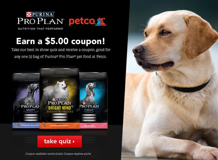 Keeping a Small Dog Active – Purina Pro Plan Coupons + Giveaway