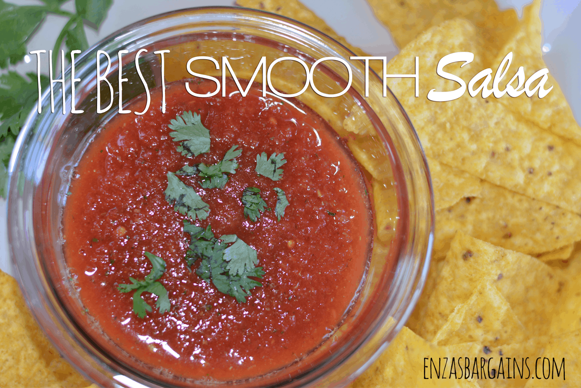 Smooth Salsa Without Onions Recipe Made with Red Gold Tomatoes Enza