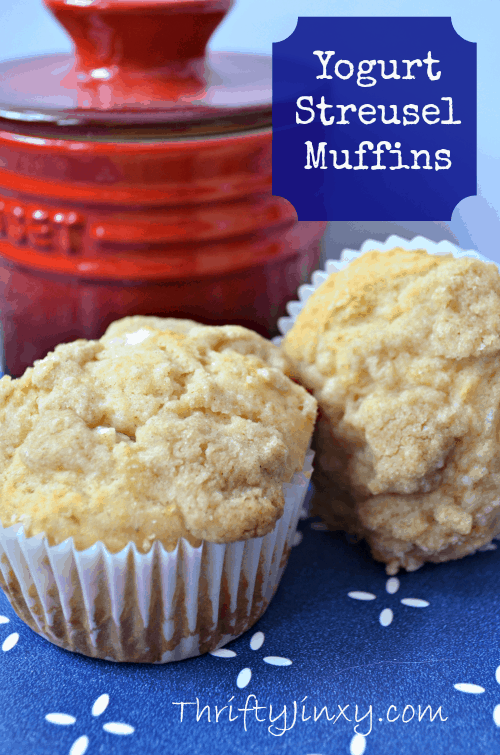 Amazing Recipes Using Yogurt – AE Dairy High Standards : Yogurt-Muffins-with-Cinnamon-Streusel