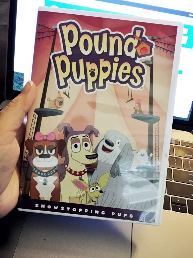 Pound Puppies - Showstopping Pups