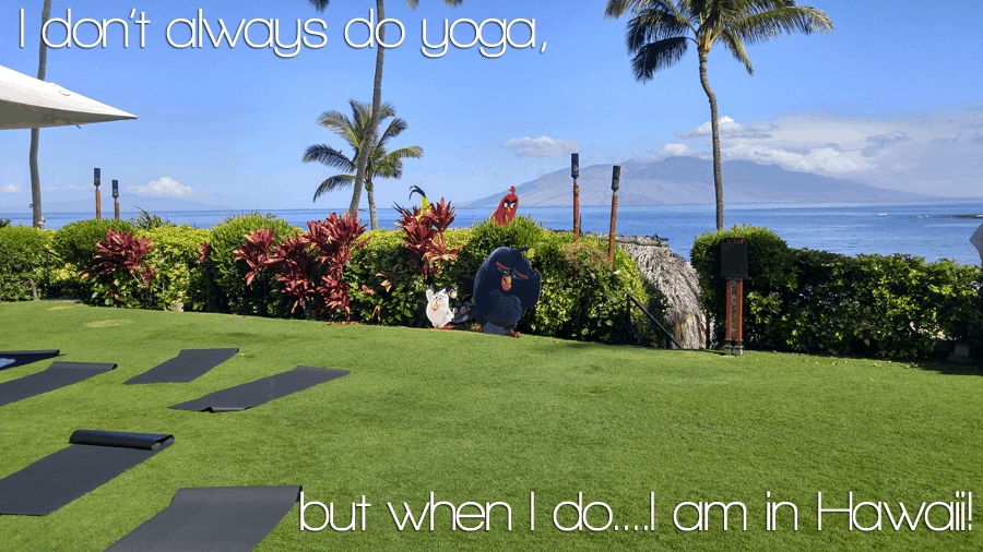 I don't always do yoga, but when I do it is in HAWAII - Angry Birds Movie