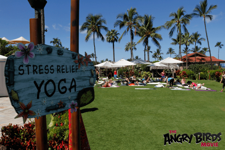 I don’t always do yoga, but when I do it is in HAWAII – Angry Birds Movie