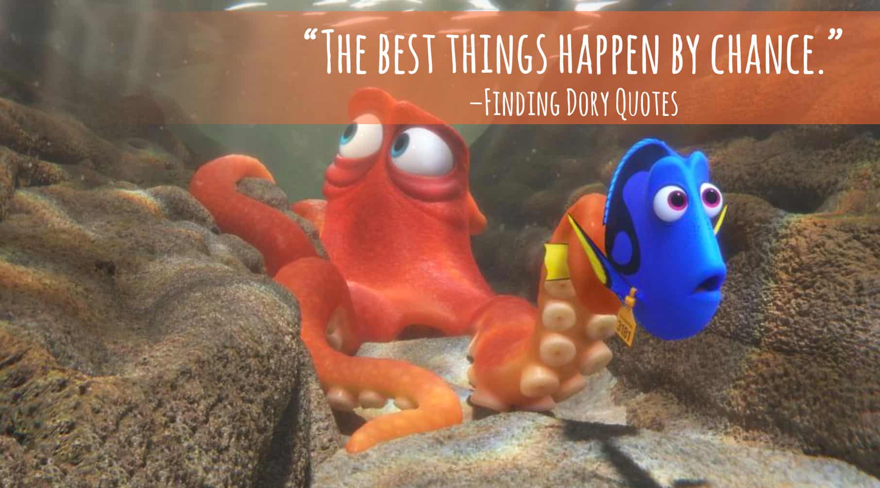 Finding Dory Quotes - Entire LIST of the BEST movie lines in the movie! "The best things happen by chance."