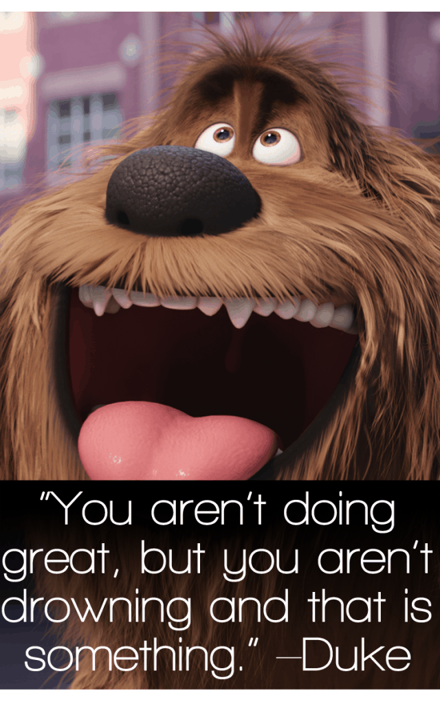 The Secret Life of Pets Quotes - TOP Movie Quotes!