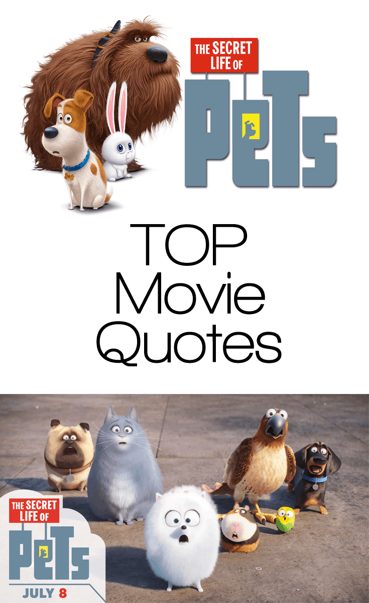 The Secret Life Of Pets Quotes Top Movie Quotes Enza S Bargains