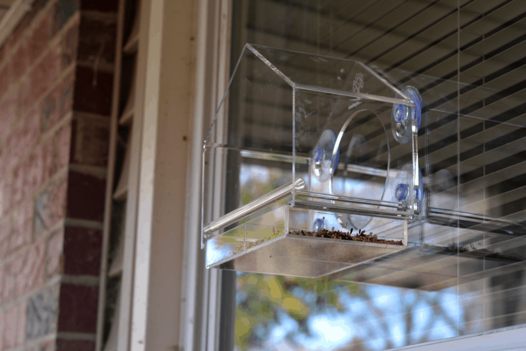 Clear Bird House from Birds-I-View Feeder