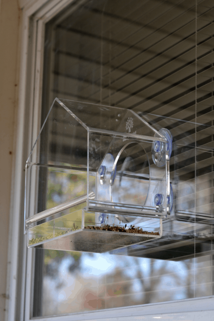 Clear Bird House from Birds-I-View Feeder