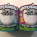 hatch-pair