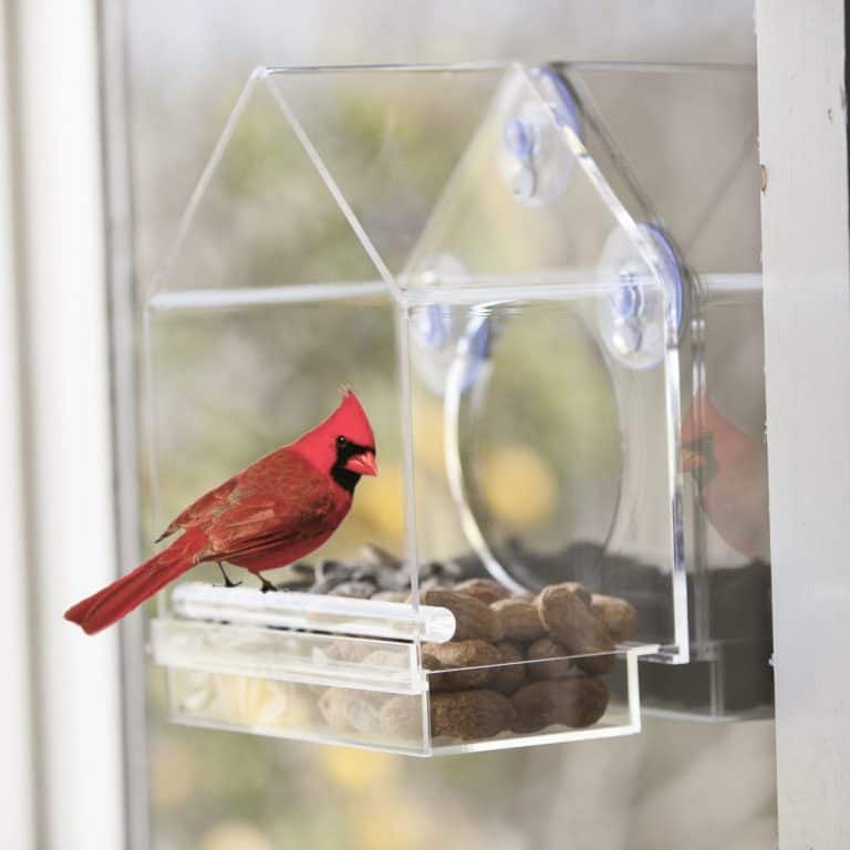 Clear Bird House from Birds-I-View Feeder – #EBHolidayGiftGuide