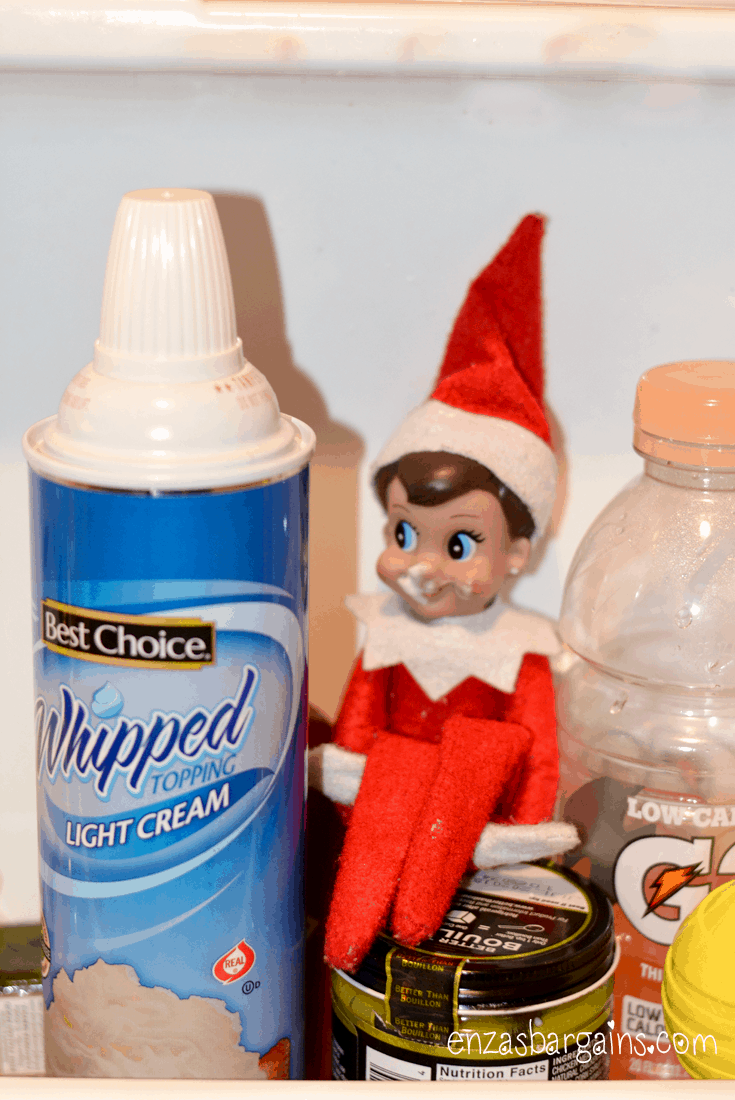Easy and Quick Elf on the Shelf Ideas!