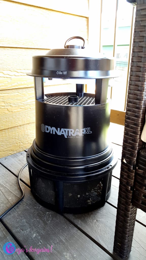 Dynatrap Review: How to keep flies out of your house?