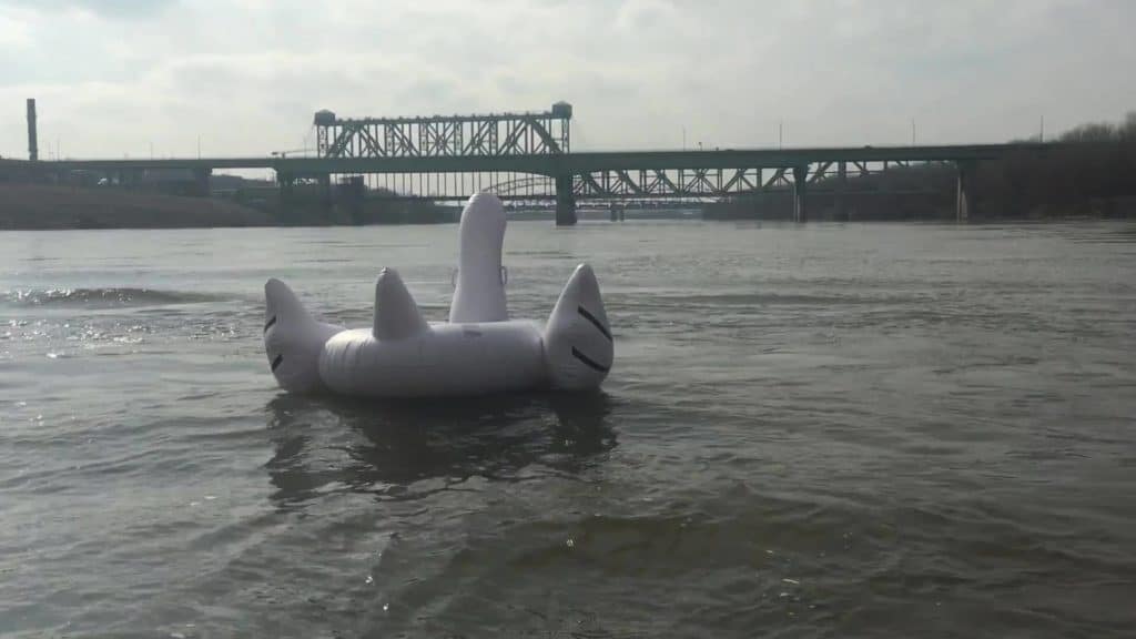 Kansas City Swans - Sign up for Swan Lake on the Mighty MO