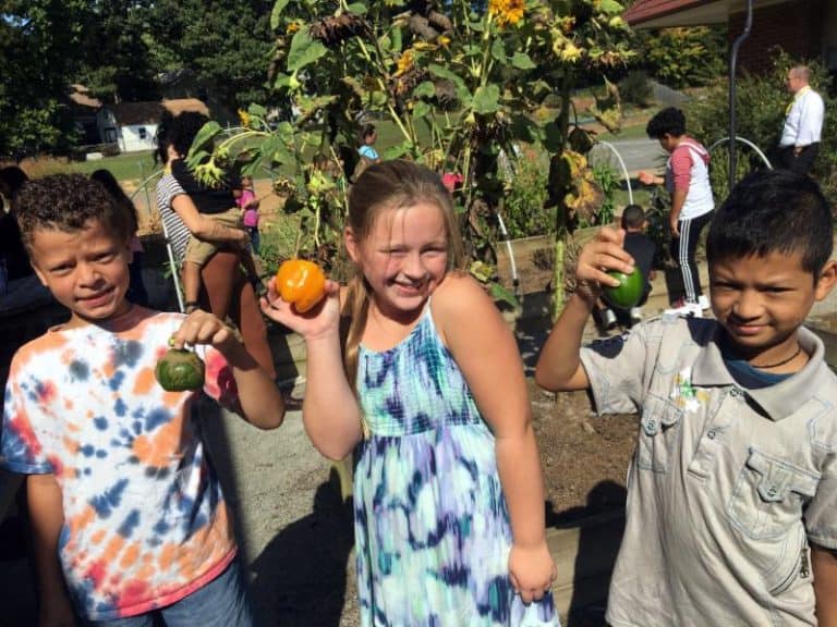 Help kids eat their veggies and succeed in school with a school grant from Action for Healthy Kids