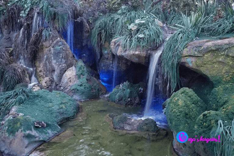 Animal Kingdom – Pandora Changes Everything