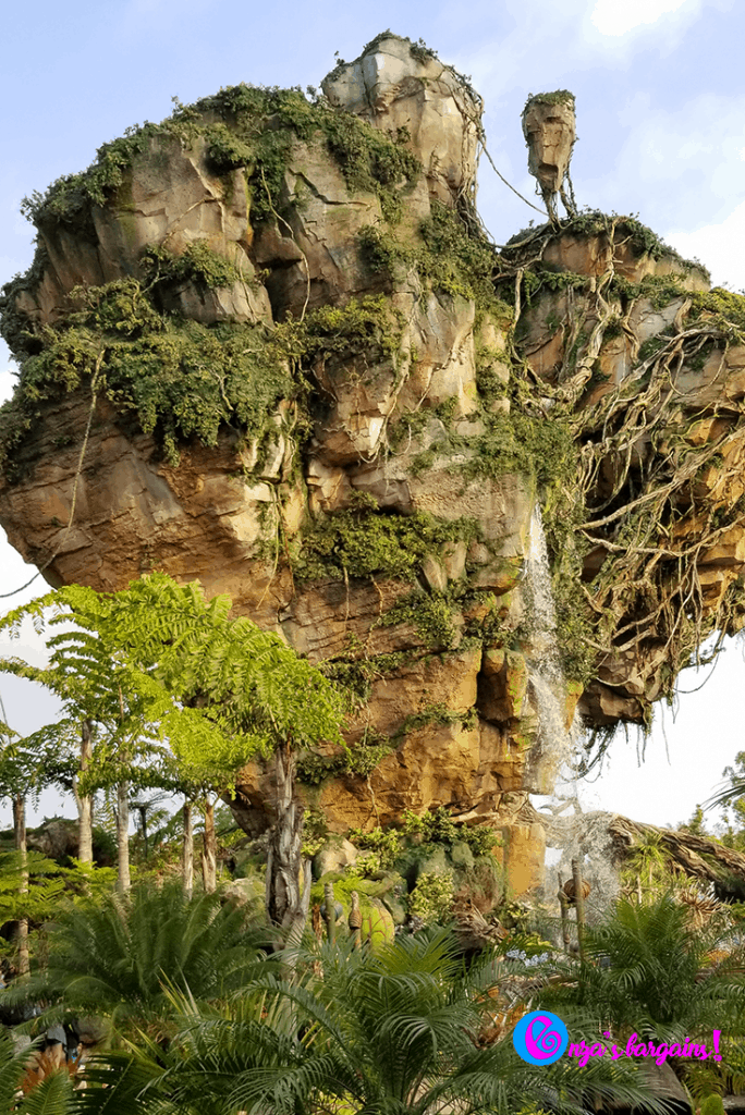 Animal Kingdom - Pandora Changes Everything