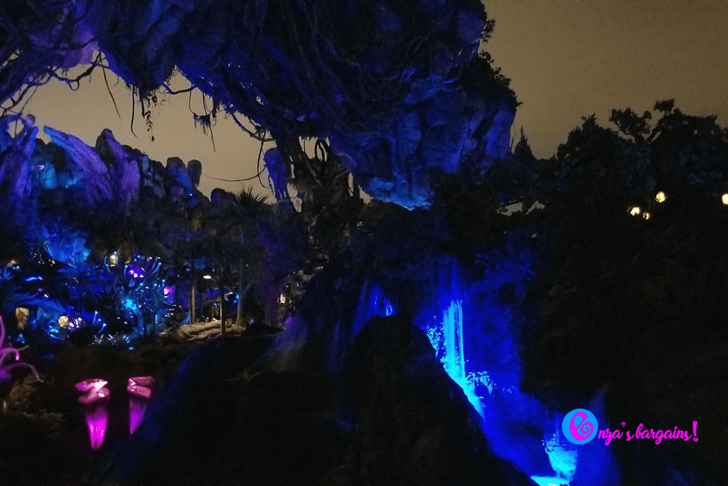 Animal Kingdom - Pandora Changes Everything