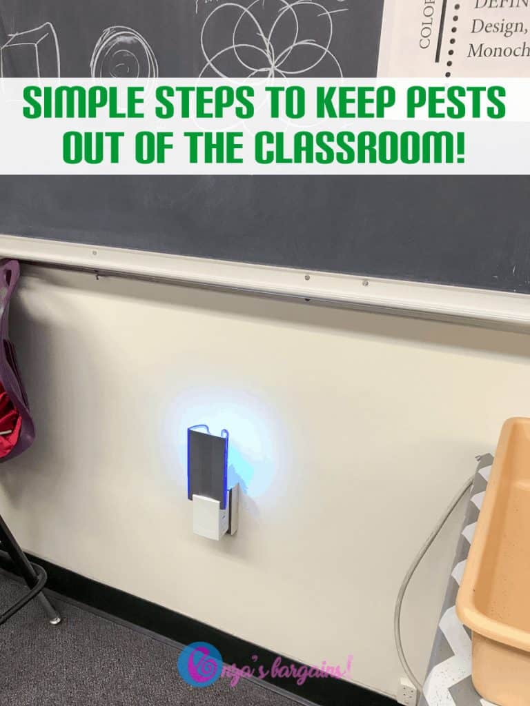 Simple Steps to Keep Pests Out of the Classroom