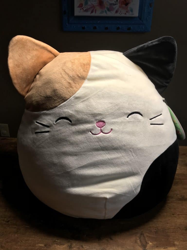 Squishmallows Review - 2018 Holiday Gift Guide