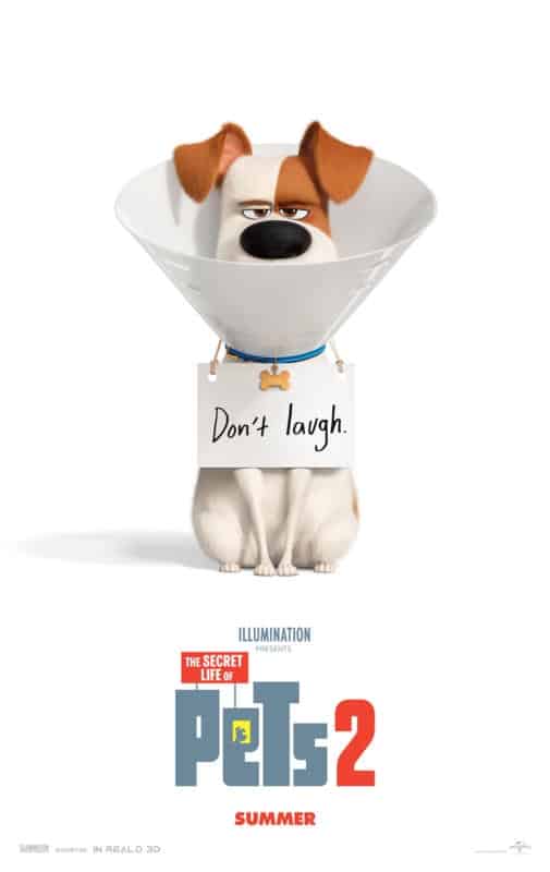 Secret Life of Pets 2 Review