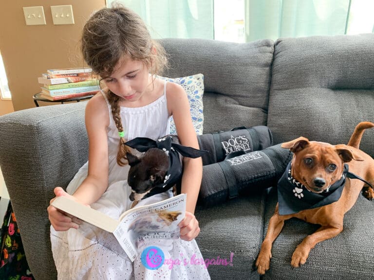 A Dog’s Journey DVD Release – Reading to your dogs!