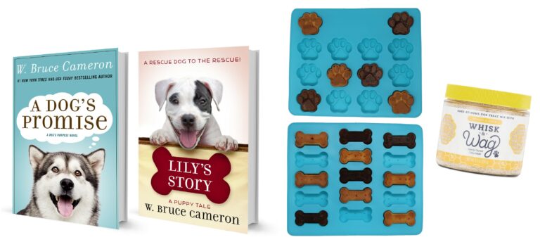 Best Author for Tweens Goes to W. Bruce Cameron & Giveaway