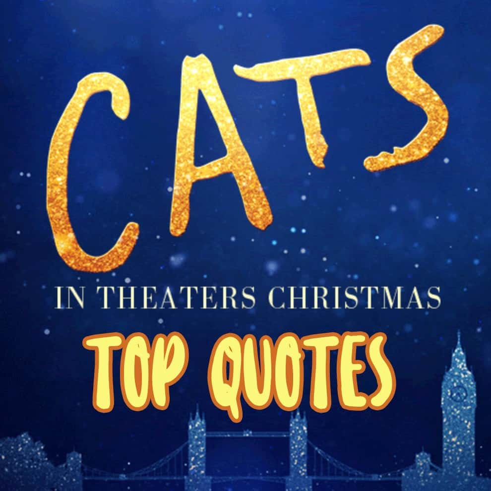 Cats Quotes