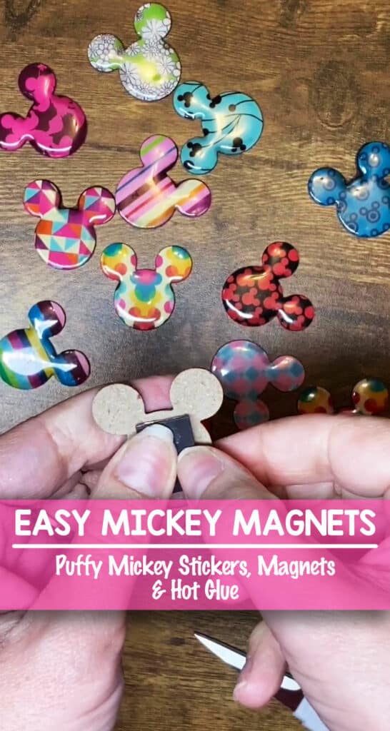 Mickey Magnet Heads - Perfect Fish Extender Gifts