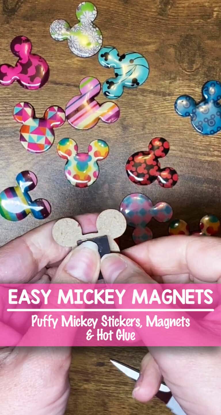 Mickey Magnet Heads – Perfect Fish Extender Gifts