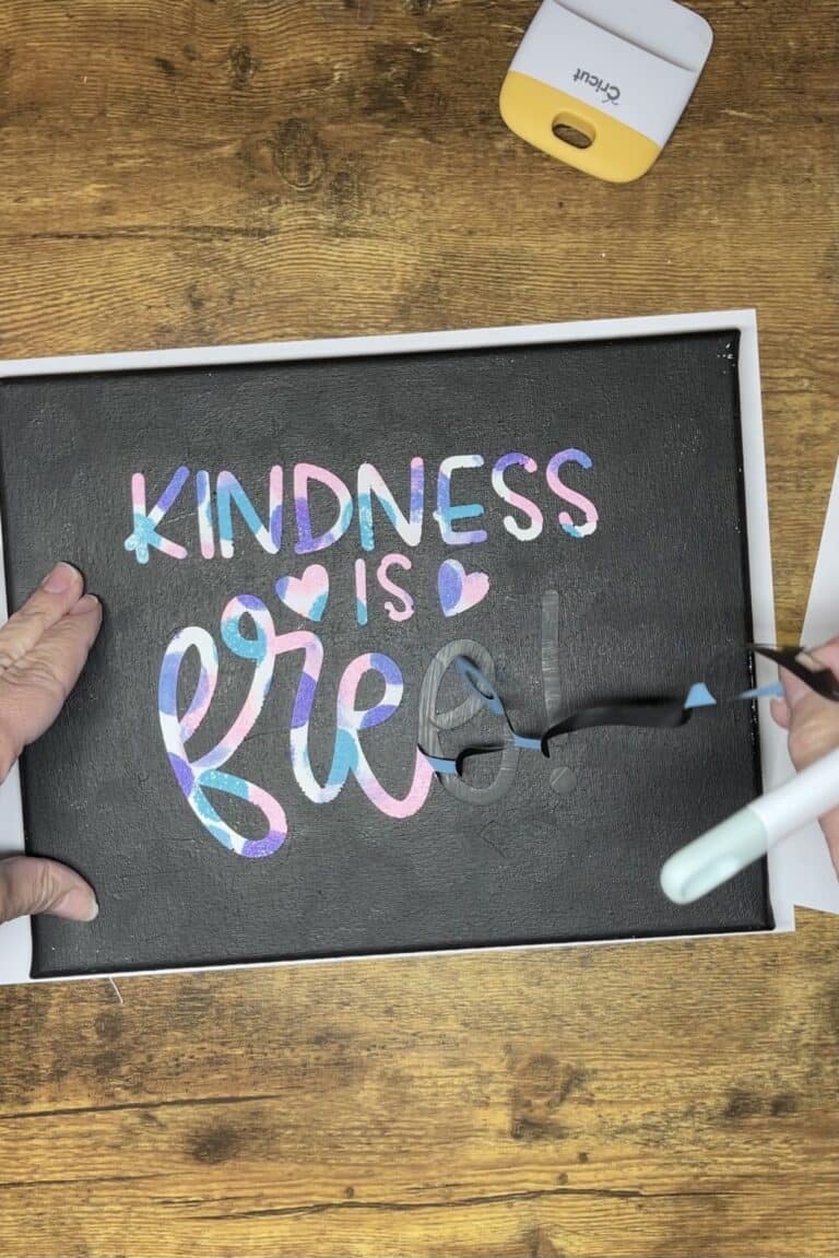 Cricut Hot Mess Canvas vs Reverse Canvas