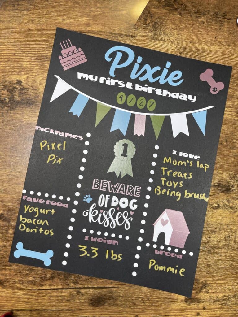 Dog Birthdays - Dog's First Birthday Sign