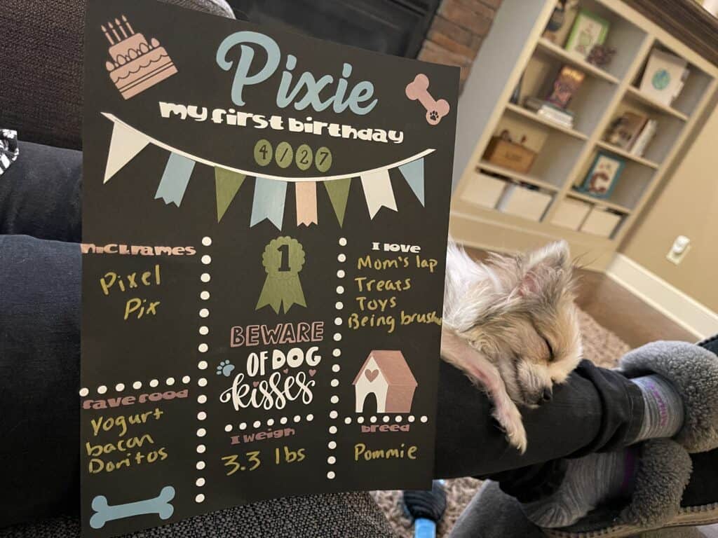 Dog's First Birthday Sign