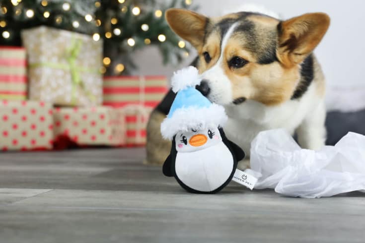 pet gift guide