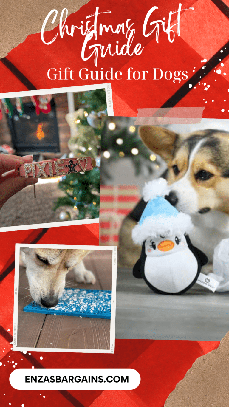 Pet Gift Guide For 2022