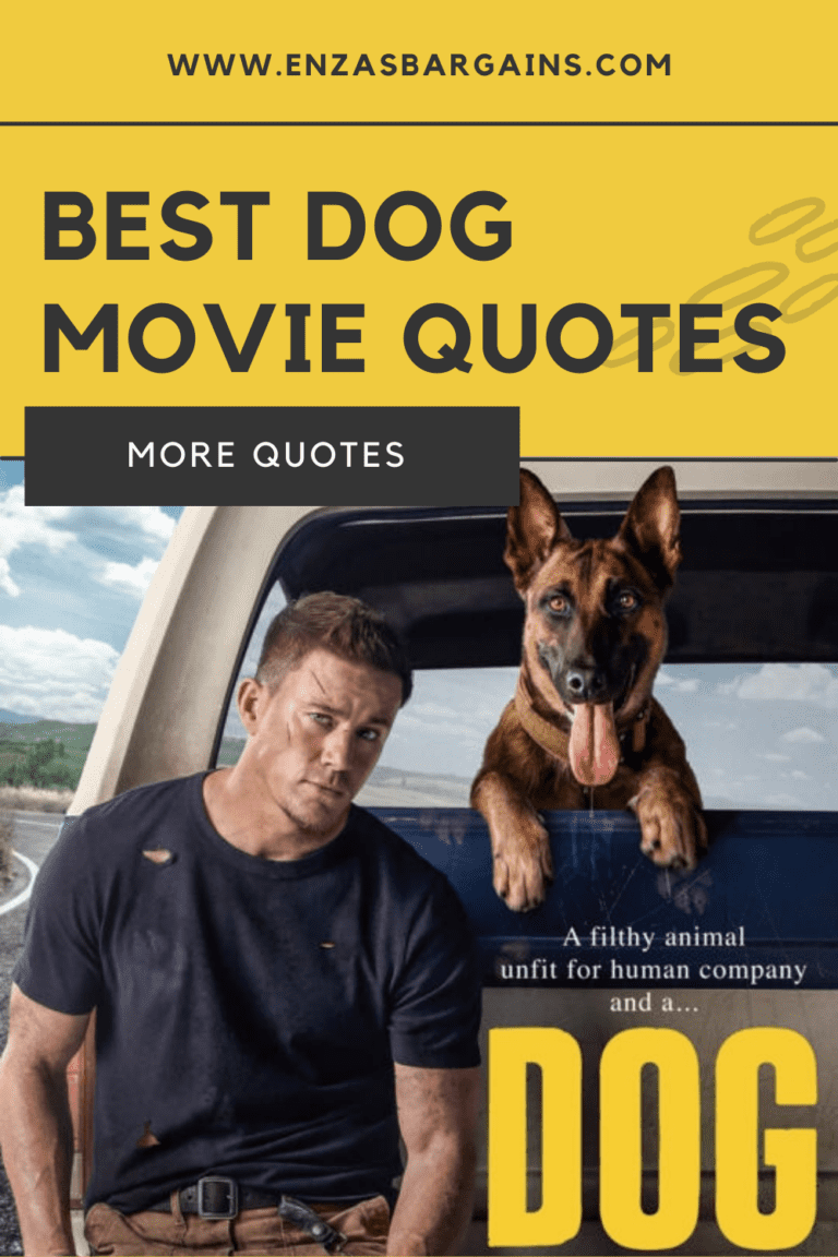 Best Dog Movie Quotes